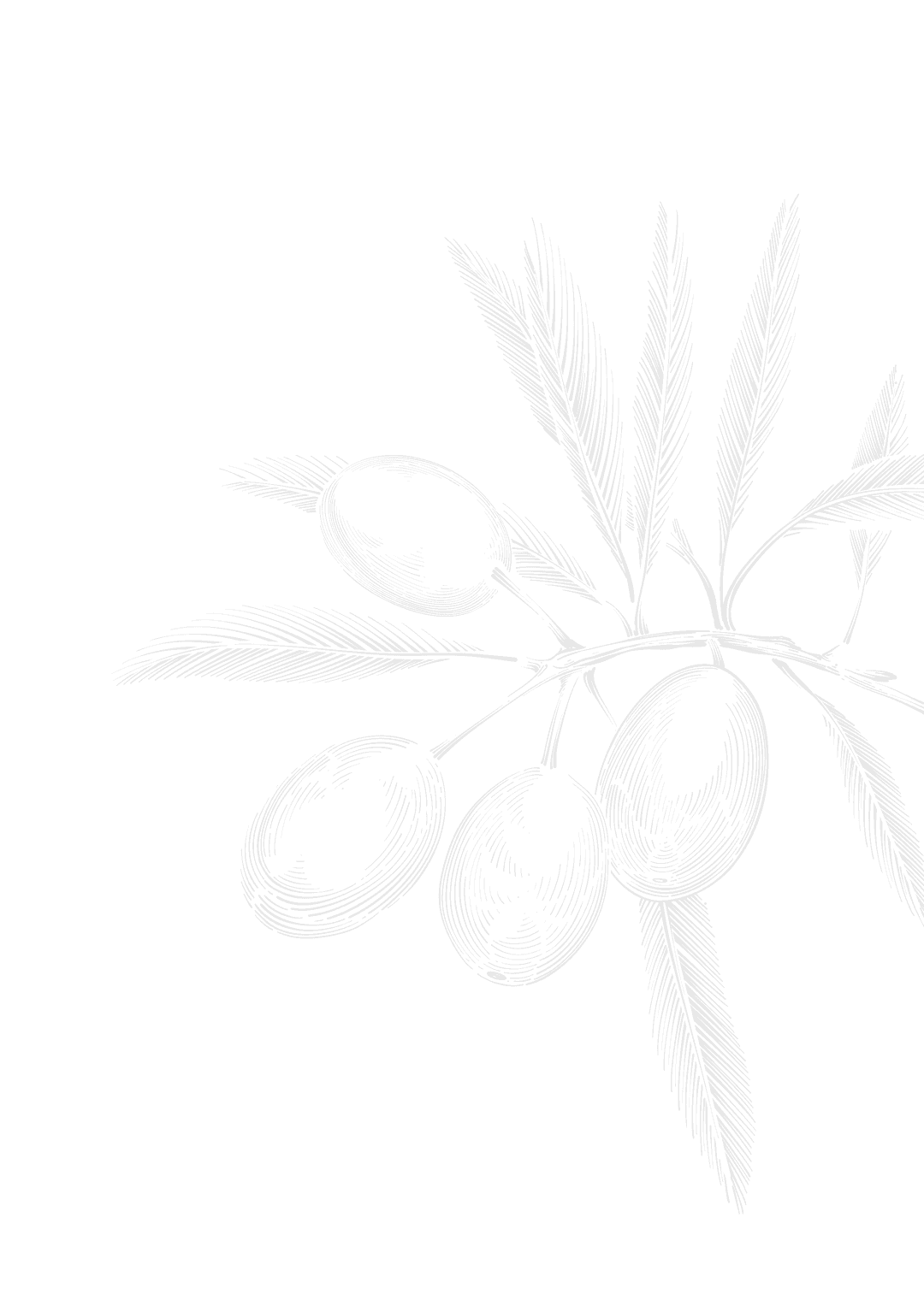 sketch-harvested-care