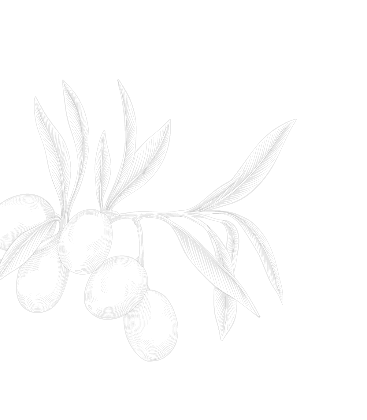 sketch-harvested-care